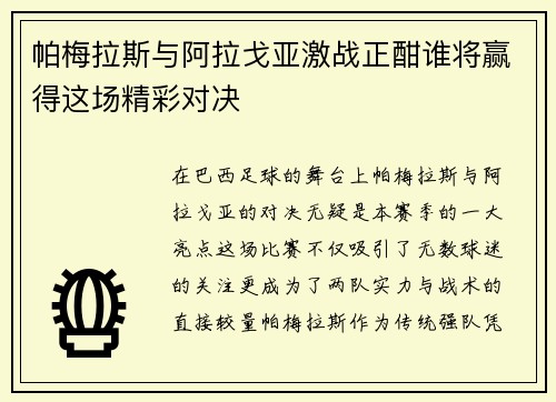 帕梅拉斯与阿拉戈亚激战正酣谁将赢得这场精彩对决